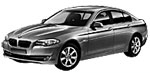 BMW F10 U1365 Fault Code